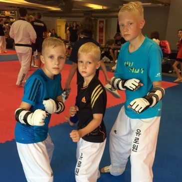 Olympic Taekwondo Summer Camp